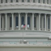  The US Capitol Washington DC